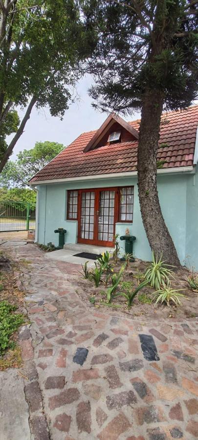 Cozy Cottage +/- 500M From The Beach Cape Town Bagian luar foto